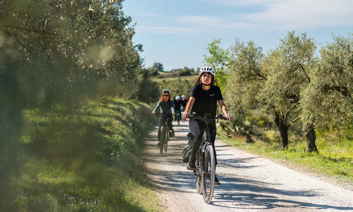 Cyclists riding electric bikes along a countryside path surrounded by olive trees in the Penedès