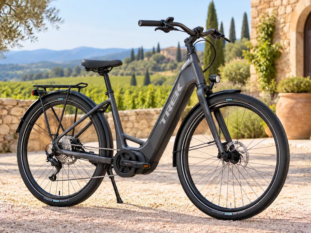Comfortable low-step electric bicycle in the countryside; illustrative image